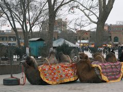 -艾提尕尔清真寺