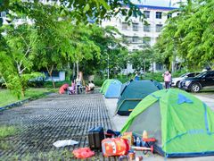 -海南霸王岭国家森林公园