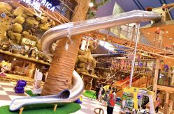 -卡通尼·Safari非洲探索乐园·生日会(金桥国际商业广场店)