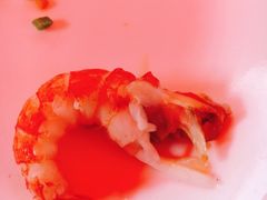 -霸王虾·麻辣小龙虾(清水河公园店)