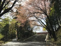 -比叡山