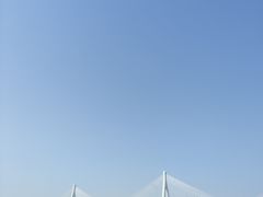 -芒洲湿地公园