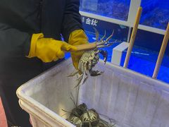-蟹状元大闸蟹·年货·粽子(成都成华店)