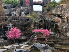 -清境桃源