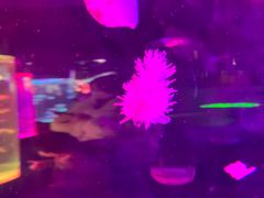 -苏州海洋馆