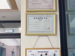 -瑞派康怡24h宠物医院·犬猫医疗中心·微创绝育(瑞景分院)