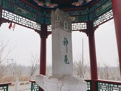 -天津东丽湖风景区