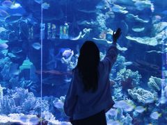 -左海海底世界