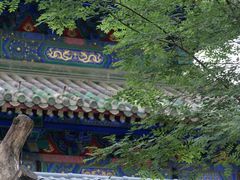 -北京国子监胡同