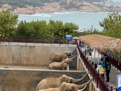 -西霞口神雕山野生动物世界