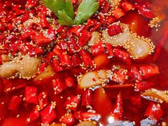 -晓彭肥肠鸡(茂业天地店)