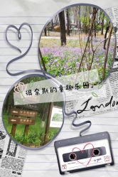 -汉石桥湿地童趣乐园