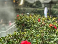 -杭州第一世界大酒店·云曼温泉