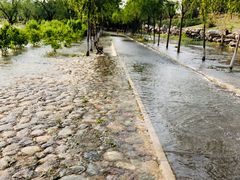 -永定河休闲森林公园