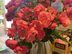 -洛阳宴·洛阳菜(南昌路店)