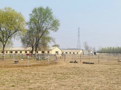 -北京群众马术培训基地