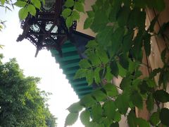 -三峡古玩城(泰古广场店)