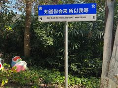 -东部华侨城