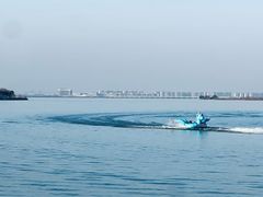 -瑶湖郊野森林公园