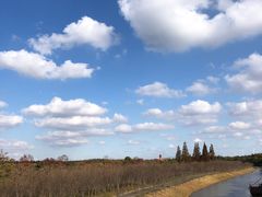 -上海海湾国家森林公园