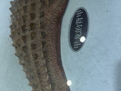 -世界恐龙谷景区