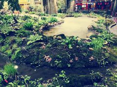 -凯德广场(学府店)