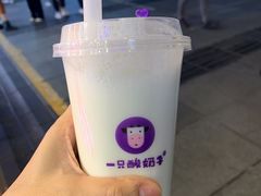 -一只酸奶牛(八一路店)