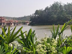 -台山颐和温泉城