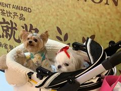 -蜜雪冰城(万达广场外B号门门口外集装箱店)