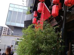 -陈麻婆豆腐总店