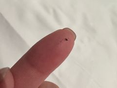 -广州粤海喜来登酒店