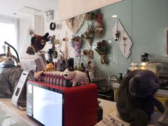 -平行世界·猫咖(首经贸店)