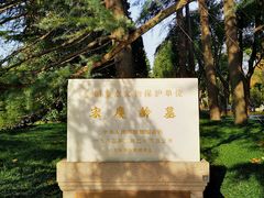 -宋庆龄陵园