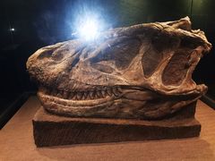 -自贡恐龙博物馆