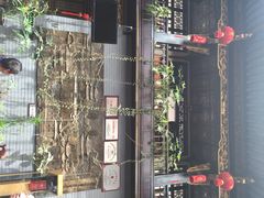 蔼若春(金碧公园店)-蔼若春.传承三十年云南菜(金碧公园店)
