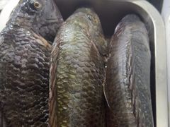 -墨江小城故事餐厅