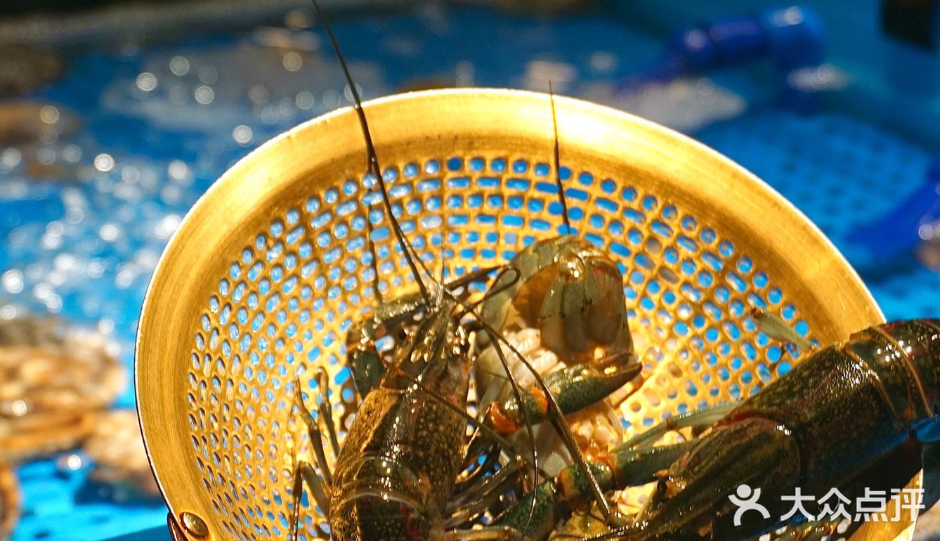 又快乐啦！在深圳～轻松实现海鲜自由～