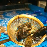 又快乐啦！在深圳～轻松实现海鲜自由～
