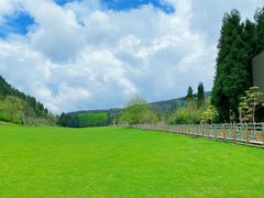 -武陵山森林公园