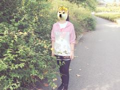 -羊山湖公园