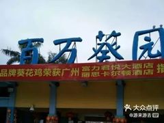 -百万葵园