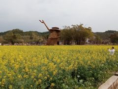 -红山村