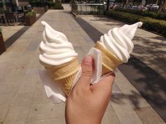 -麦当劳(塔园路店)