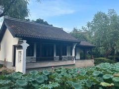 -红梅公园