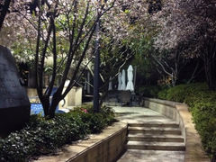 iphone_upload_pic-绿城千岛湖喜来登度假酒店