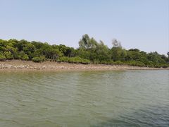 -东寨港红树林旅游区