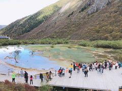 -黄龙山原始森林景区