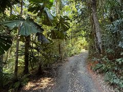 -热带雨林自然公园