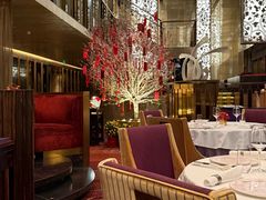 -金轩中餐厅 Jin Xuan(浦东丽思卡尔顿酒店)