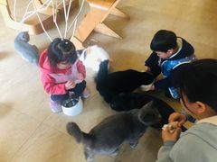 -猫咖时代(中山亭店)